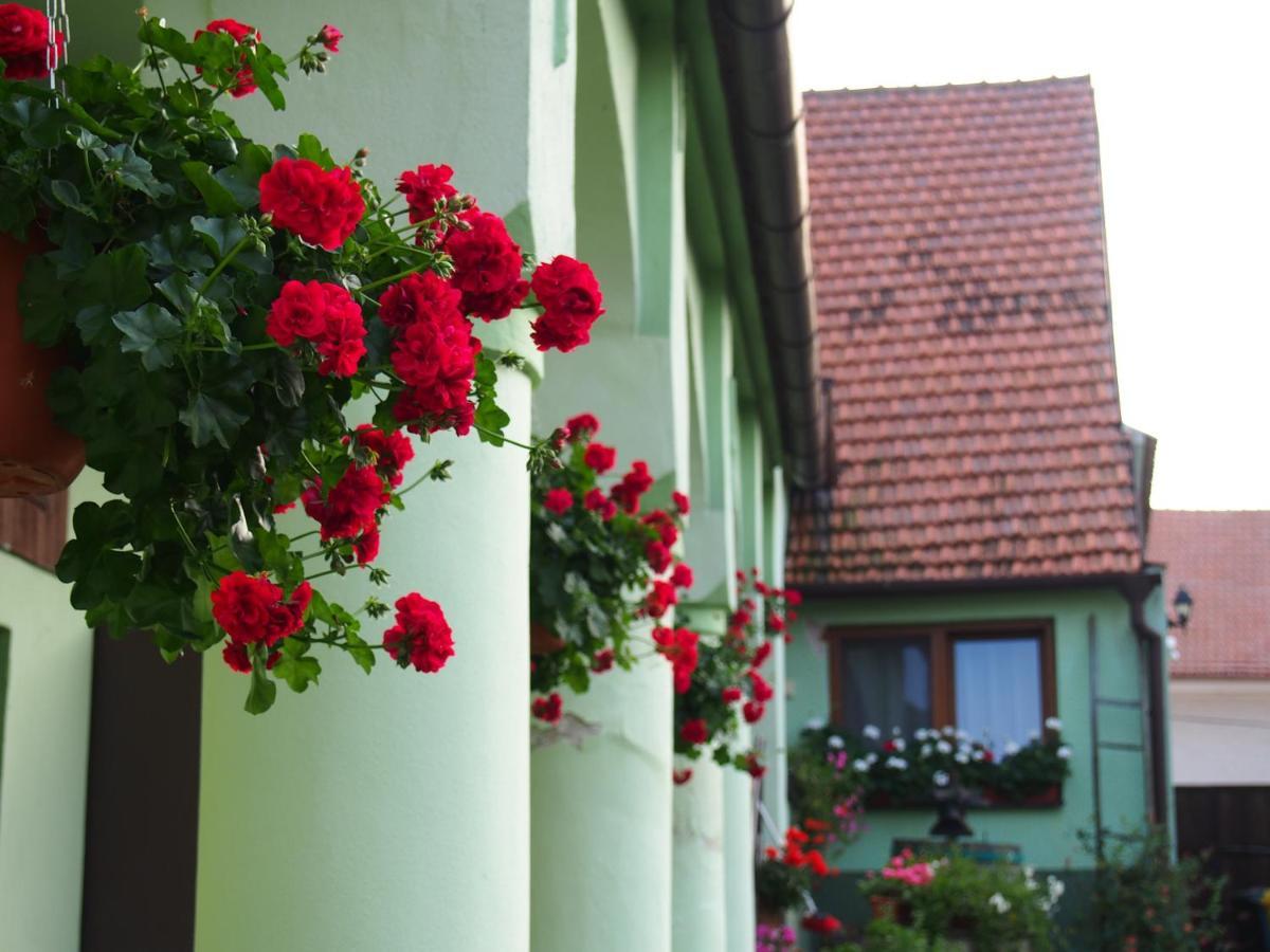 Na Upati Palavy Hotel Horni Vestonice Kültér fotó