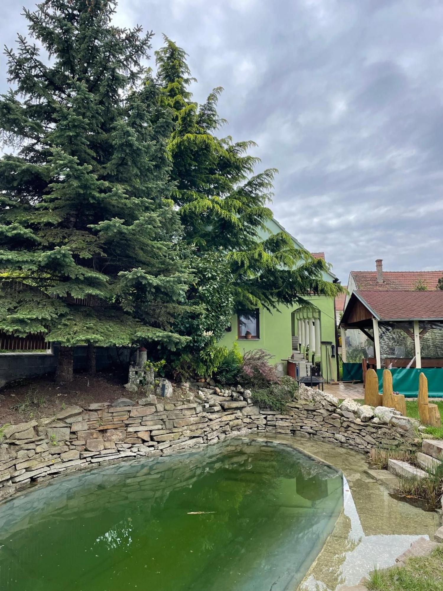 Na Upati Palavy Hotel Horni Vestonice Kültér fotó